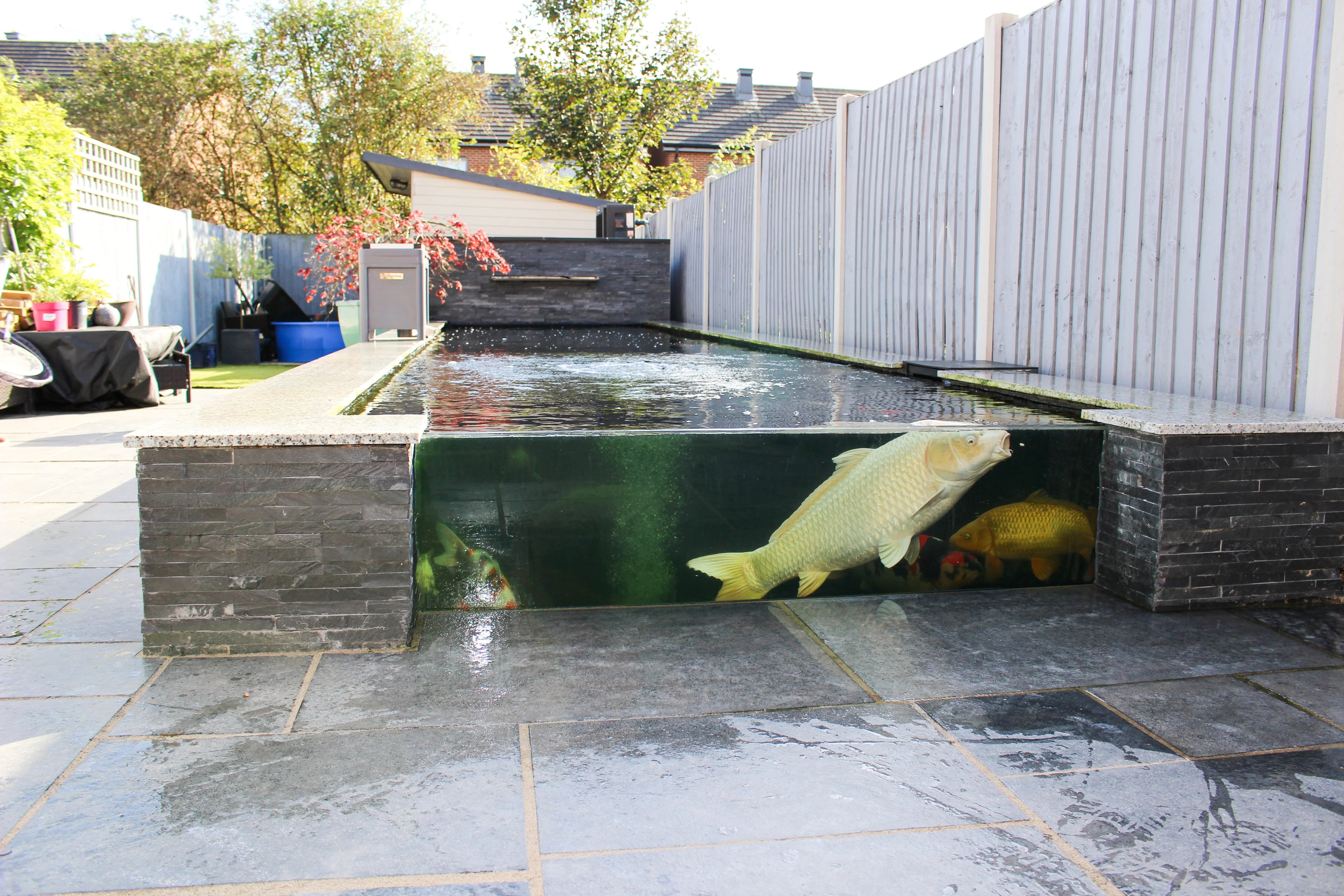 Case Study - Koi Pond Build Birmingham