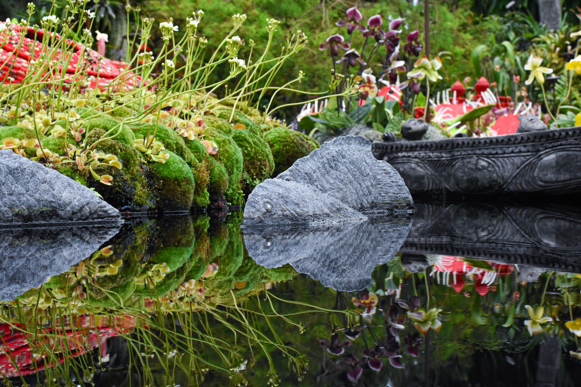 Koi Pond Design Ideas And Inspiration For Your Backyard Oasis
