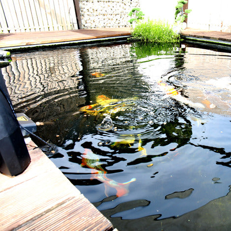 JBL Propond Autofood