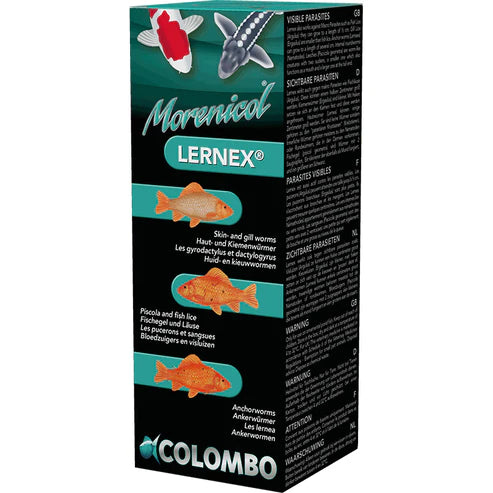 Colombo Lernex