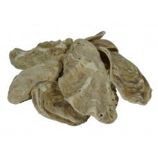 Kockney Koi Oyster Shell 1kg Bag