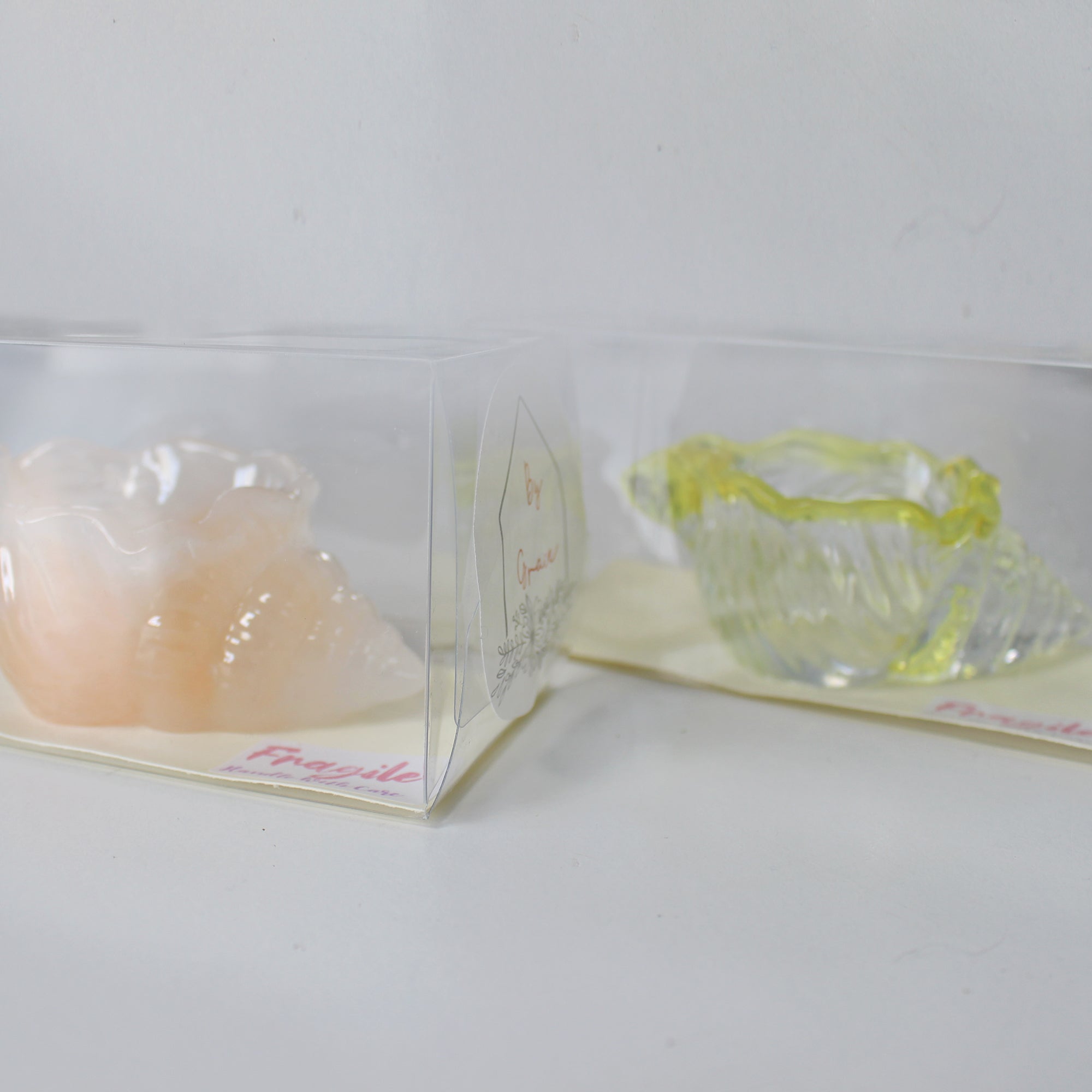 Hand Crafted Shells in Resin