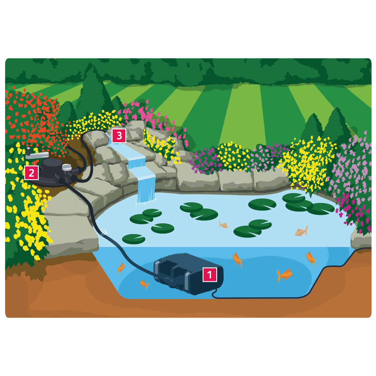 Hozelock Bioforce Revolution + Aquaforce Kit