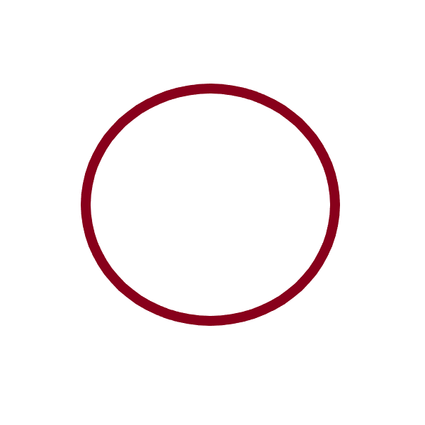 Eazypod UV Quartz Sleeve O-Ring