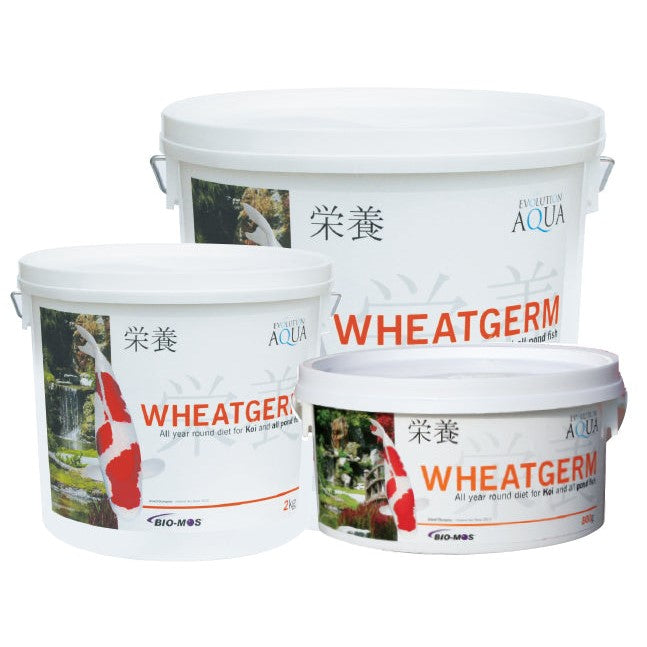 Evolution Aqua Wheatgerm Fish Food
