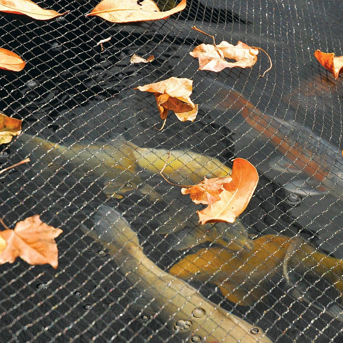 Hozelock Pond Cover Net