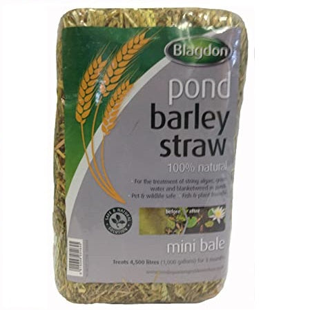 Blagdon Barley Straw Bale Natural Algae Control for Ponds