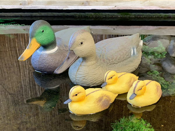 Oase Mallard Female Floating Pond Duck Figure