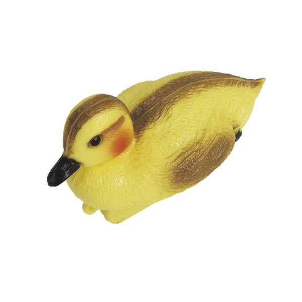 Floating Pond Ducklings