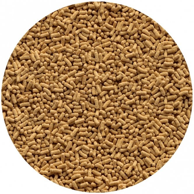 Tetra Pond Sticks Fish Food