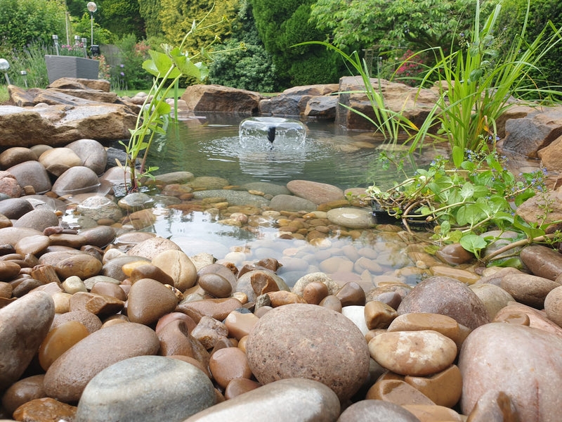 Case Study - Nature Pond Solihull