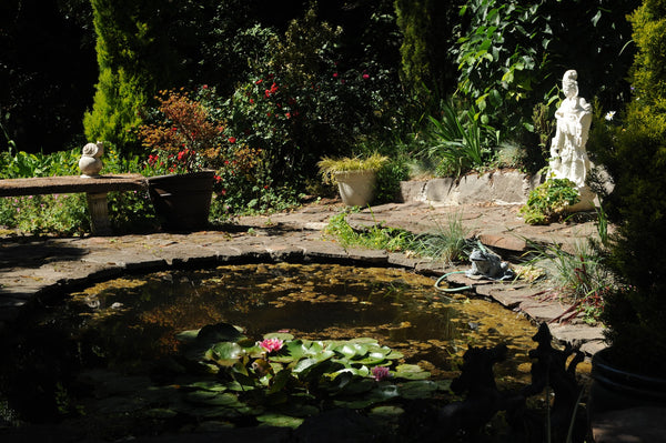 A Step-By-Step Guide To Building A Koi Pond