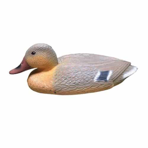 Bemuda Pond Female Duck