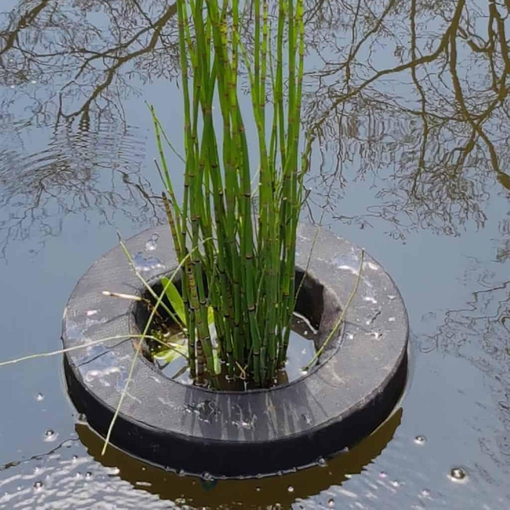 SuperFish Floating Plant Basket Dia 22cm