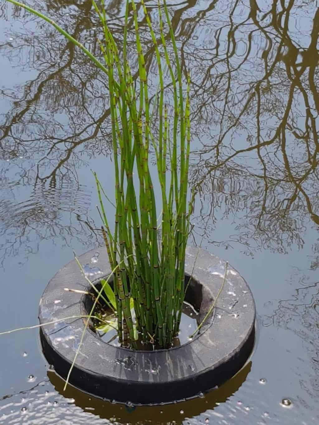 SuperFish Floating Plant Basket Dia 22cm