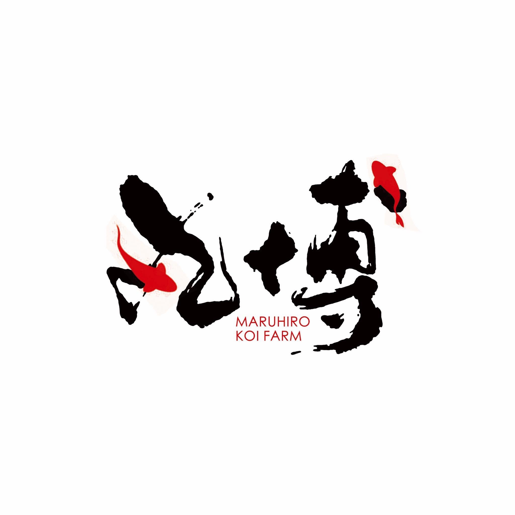 Tosai mix - Maruhiro Koi Farm