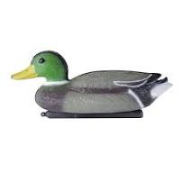 Simply Pond Male Duck