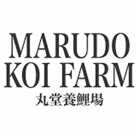 Tosai mix - Marudo Koi Farm