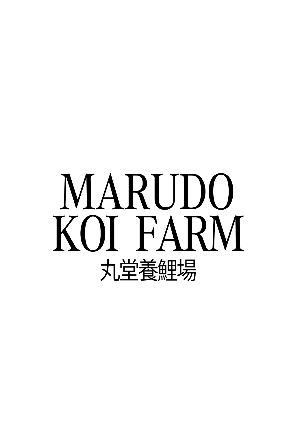 Mujimono tosai mix - 12-14cm - Marudo Koi Farm