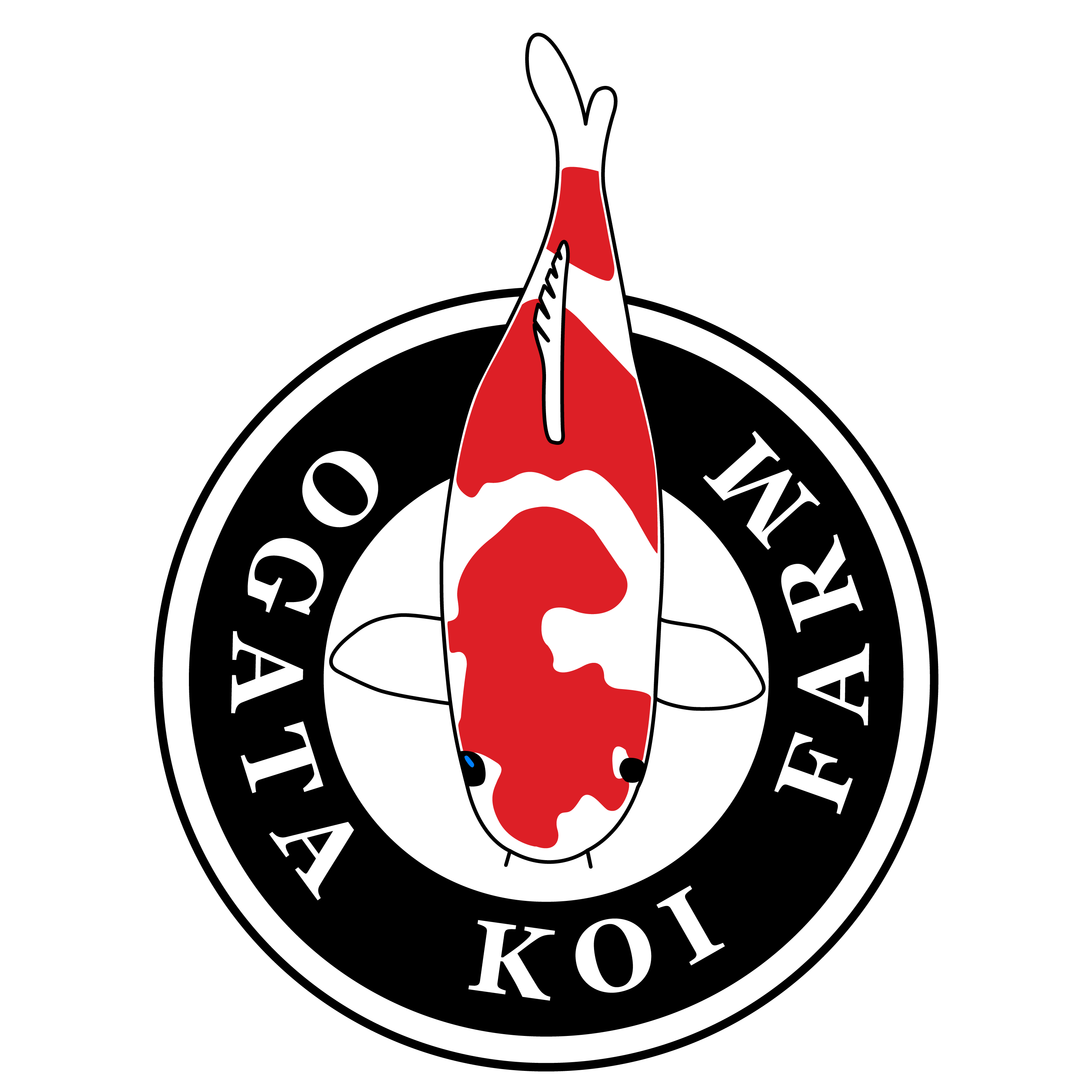 Jumbo tosai selection - 23-30cm - Ogata Koi Farm