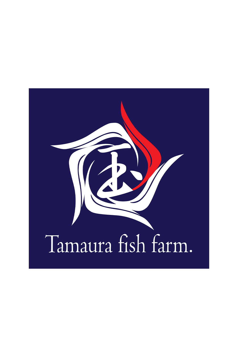 Kohaku - jumbo tosai 27cm - Tamaura Koi Farm (TAM-KOH-02)