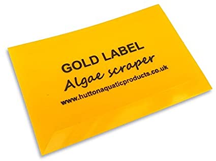 Gold Label Algae Scraper