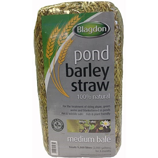Blagdon Barley Straw Bale
