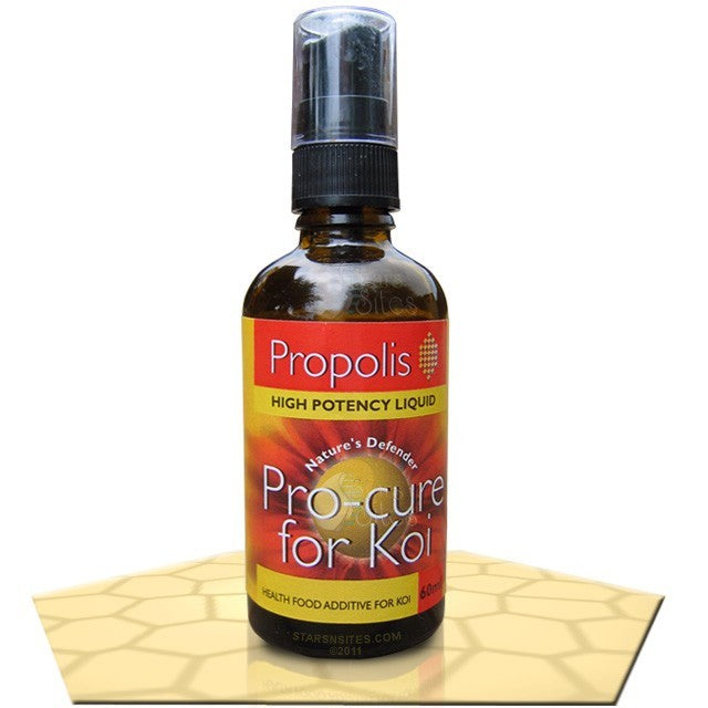 Propolis Pro-cure for Koi