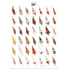 Large Koi Posters Laminated